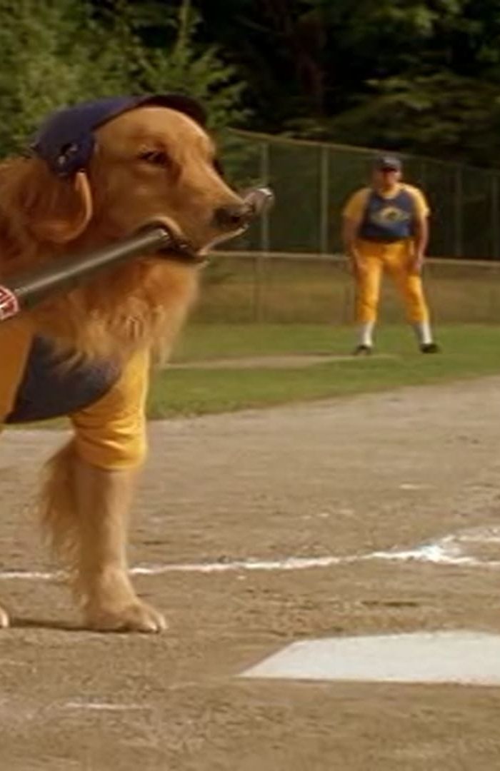 Air Bud background