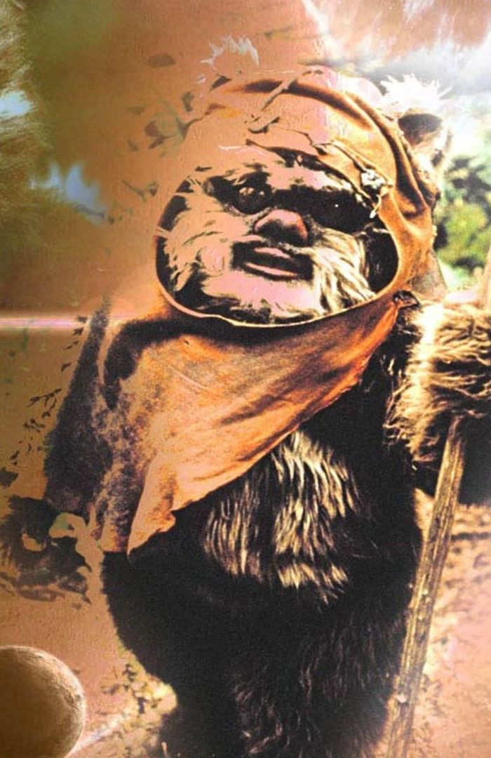 Star Wars: The Ewok Adventures background