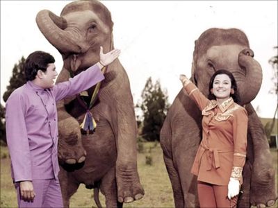 Rajesh Khanna and Tanuja Samarth in Haathi Mere Saathi (1971)