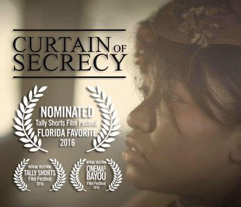 Curtain of Secrecy