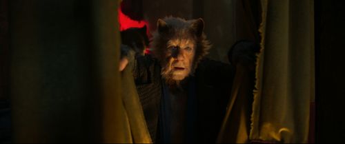 Ian McKellen and Laurie Davidson in Cats (2019)