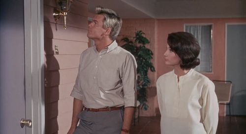 Gail Hire and Skip Ward in Red Line 7000 (1965)