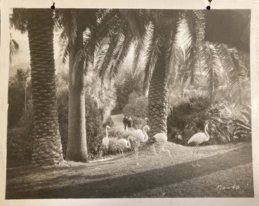 Iván Petrovich and Alice Terry in The Garden of Allah (1927)