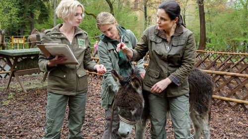 Anna Bertheau and Elisabeth Lanz in Zoo Doctor: My Mom the Vet (2006)