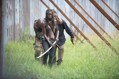 Danai Gurira, Kenric Green, and Corey Hawkins in The Walking Dead (2010)