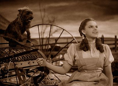 Judy Garland and Terry in The Wizard of Oz (1939)