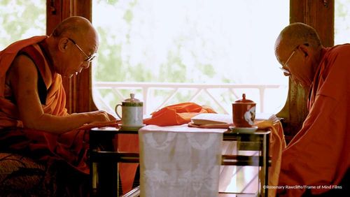 The Dalai Lama in The Great 14th: Tenzin Gyatso, the 14th Dalai Lama in His Own Words