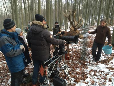 Ildikó Enyedi, Máté Herbai, and Zoltan Horkai in On Body and Soul (2017)