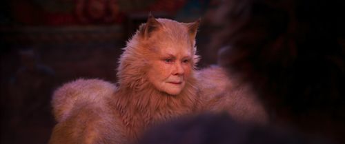 Judi Dench in Cats (2019)