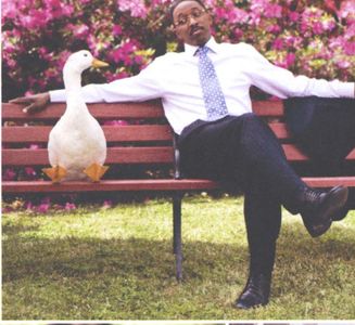 Print Ad For Aflac