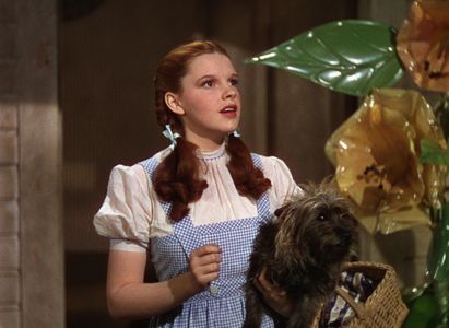 Judy Garland and Terry in The Wizard of Oz (1939)