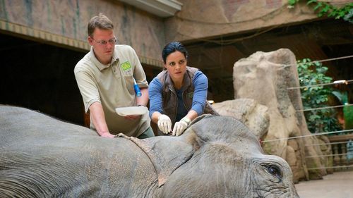 Elisabeth Lanz in Zoo Doctor: My Mom the Vet (2006)