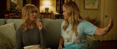 Goldie Hawn and Amy Schumer in Snatched (2017)