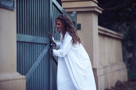 Picnic at Hanging Rock still