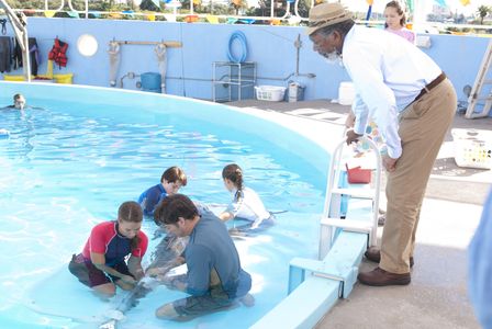 Morgan Freeman, Harry Connick Jr., Winter The Dolphin, Nathan Gamble, Austin Highsmith Garces, Betzaida Landín, and Wint