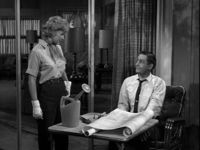 Connie Hines and Alan Young in Mister Ed (1961)