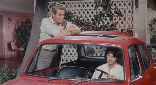 Gail Hire and Skip Ward in Red Line 7000 (1965)