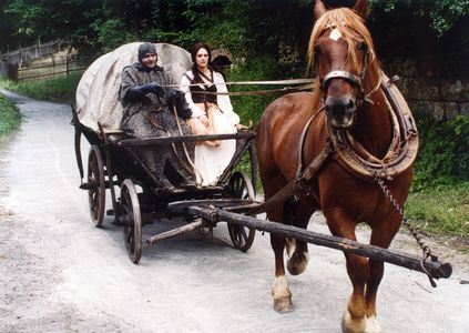 Radek Holub and Klára Issová in O svatební krajce (2003)