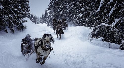 Kristofer Hivju, Ane Ulimoen Øverli, and Jonathan Oskar Dahlgren in The Last King (2016)