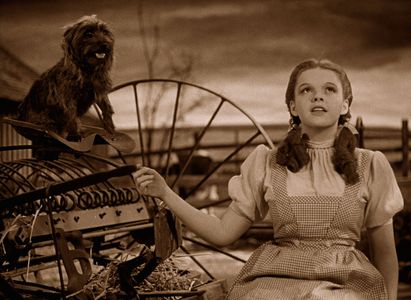 Judy Garland and Terry in The Wizard of Oz (1939)