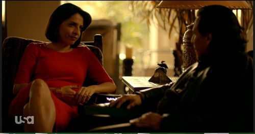 Gerardo Taracena and Veronica Falcón in Queen of the South (2016)