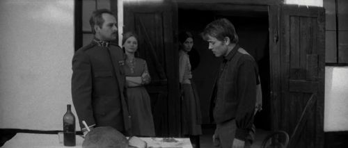 Andrea Drahota, András Kozák, Zoltán Latinovits, and Mari Törőcsik in Silence and Cry (1968)