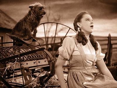 Judy Garland and Terry in The Wizard of Oz (1939)