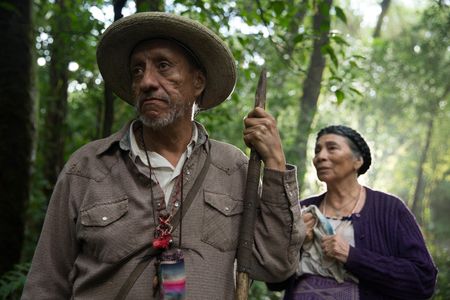 Monica Miguel and José Manuel Poncelis in I Dream in Another Language (2017)