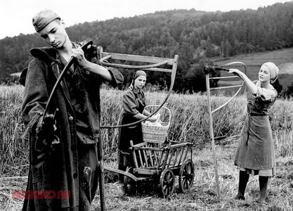 Julia Jäger, Uta Koschel, and Pavel Sanaev