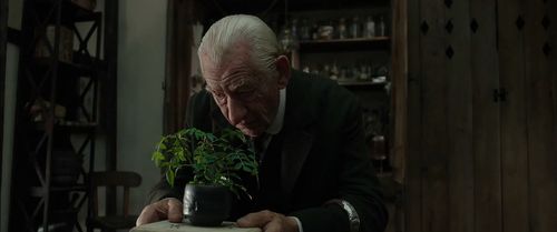 Ian McKellen in Mr. Holmes (2015)