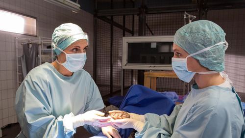 Anna Bertheau and Elisabeth Lanz in Zoo Doctor: My Mom the Vet (2006)