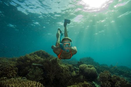 In the Great Barrier Reef on the set of Outback & Under