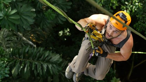 Climbing to the rainforest canopy for a macaw conservation project in the Peruvian Amazon