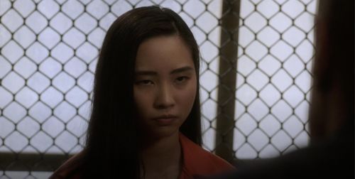 Teresa Ting on Law & Order SVU