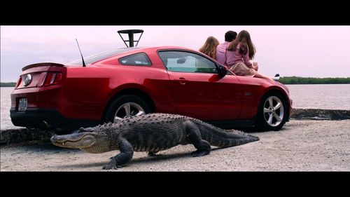 Neil Casey, Alex Jennings, and Nina Smilow in Gator Farm (2012)