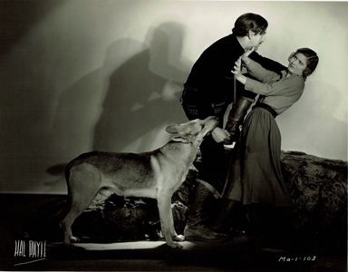 Janet Chandler, Mitchell Harris, and Son O'Dawn in Born to Fight (1932)