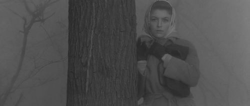 Nicole Courcel in Sundays and Cybèle (1962)