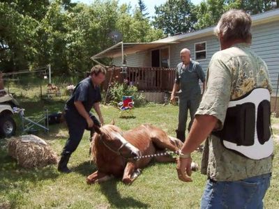 Charles Pol and Jan Pol in The Incredible Dr. Pol: Up Sheep's Creek (2011)