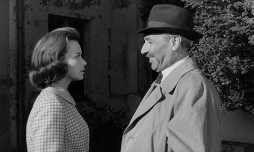 Brigitte Grothum and Richard Häussler in Die seltsame Gräfin (1961)