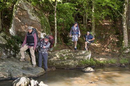 Nick Nolte, Robert Redford, Derek Krantz, and Andrew Vogel in A Walk in the Woods (2015)