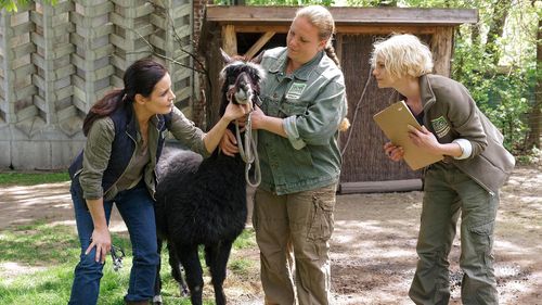 Anna Bertheau and Elisabeth Lanz in Zoo Doctor: My Mom the Vet (2006)