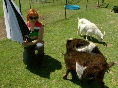 Kari Byron in MythBusters (2003)