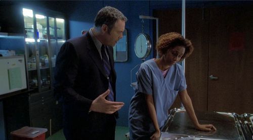 Sally Stewart and Vincent D'Onofrio Law and Order Criminal Intent