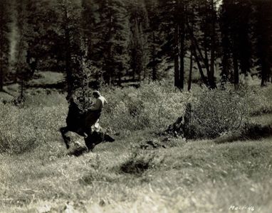 Janet Chandler in Born to Fight (1932)