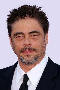 Benicio Del Toro