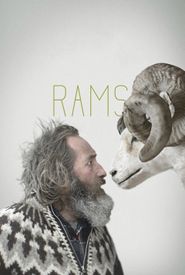 Rams