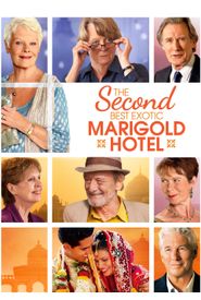 The Second Best Exotic Marigold Hotel