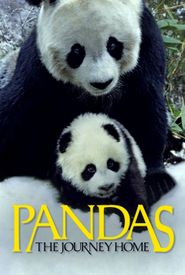 Pandas: The Journey Home