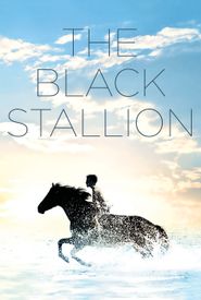 The Black Stallion