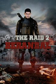 The Raid 2